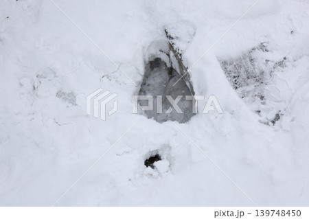 地面に積もった雪の中に空いた穴 地面に積もった雪の中に空いた穴 139748450
