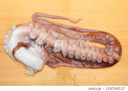 生タコ足 生タコ足 139748527