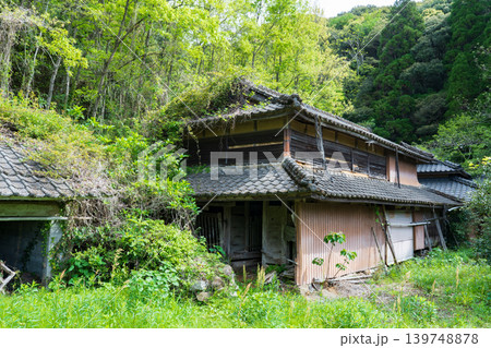 樹木に呑まれ込みそうな廃屋 139748878