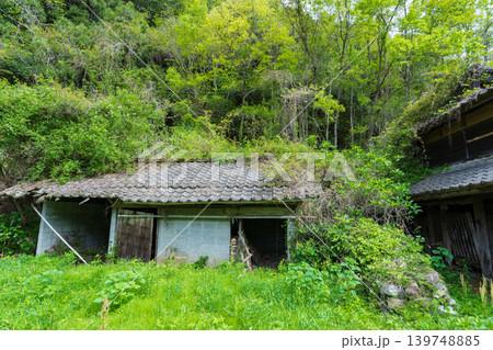 樹木に呑まれ込みそうな廃屋 樹木に呑まれ込みそうな廃屋 139748885