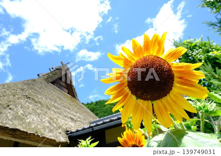 美山かやぶきの里と夏の花のイメージ素材 美山かやぶきの里と夏の花のイメージ素材 139749031