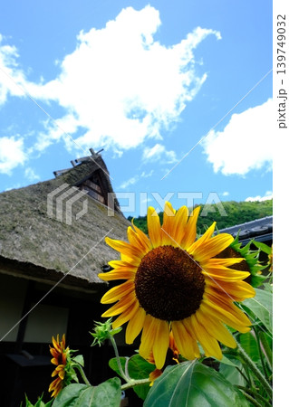 美山かやぶきの里と夏の花のイメージ素材 美山かやぶきの里と夏の花のイメージ素材 139749032