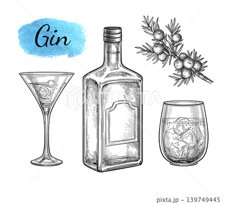 Hand-drawn gin bottle, glasses and juniper branch Hand-drawn gin bottle, glasses and juniper branch 139749445