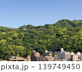 神戸市中央区 新緑に包まれたビーナスブリッジ 139749450