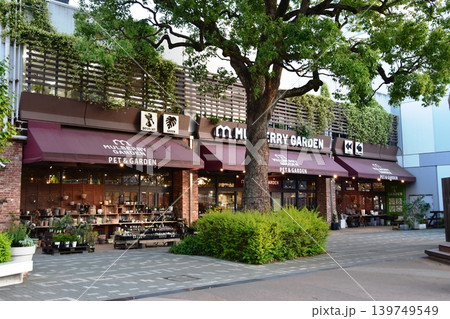 埼玉県 大宮の商業施設コクーンシティのショップ 埼玉県 大宮の商業施設コクーンシティのショップ 139749549