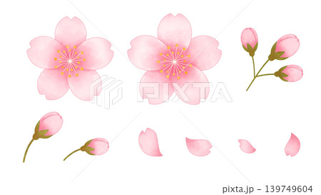 桜の花、花びら、つぼみ、枝をセットにした水彩風素材イラスト 桜の花、花びら、つぼみ、枝をセットにした水彩風素材イラスト 139749604
