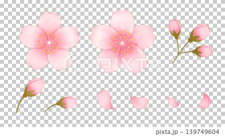 桜の花、花びら、つぼみ、枝をセットにした水彩風素材イラスト 桜の花、花びら、つぼみ、枝をセットにした水彩風素材イラスト 139749604