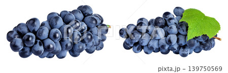 dark blue grape berry bunch isolated on white background 139750569