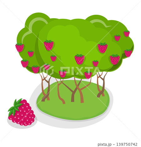 3D Isometric Flat Vector Illustration of Organic Fruits and Berries , Collection Of Shrubs Perfect For Gardens And Landscaping. Item 4 3D Isometric Flat Vector Illustration of Organic Fruits and Berries , Collection Of Shrubs Perfect For Gardens And Landscaping. Item 4 139750742