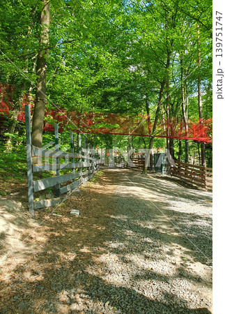 Scenic forest trail in a rope amusement park with wooden fence, gravel road and red protective net between green trees 139751747
