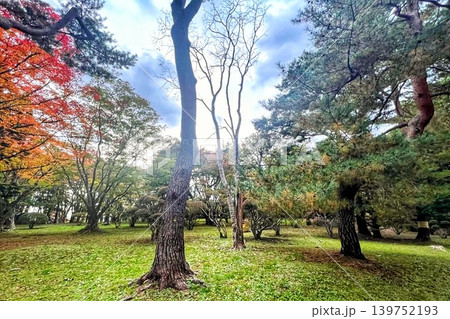 紅葉した木々と緑の葉 紅葉した木々と緑の葉 139752193