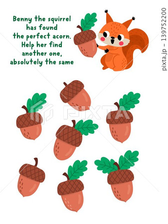 Find two same acorns. Forest animals matching activity for children. Woodland educational quiz worksheet for kids for attention skills. Wildlife printable game with cute squirrel 139752200