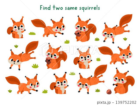 Find two same squirrels. Forest animals matching activity for children. Woodland educational quiz worksheet for kids for attention skills. Wildlife printable game with cute animal 139752202