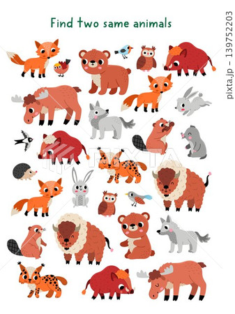 Find two same forest animals. Matching activity for children. Woodland educational quiz worksheet for kids for attention skills. Wildlife printable game with cute fox, wolf, elk, bear, lynx, boar 139752203