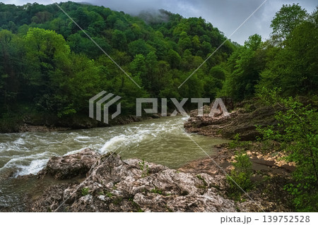 Torrential rain drums on mossy rocks, stormy mountain river Torrential rain drums on mossy rocks, stormy mountain river 139752528