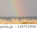 野付半島の海にかかる虹 139752994