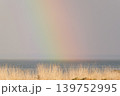 野付半島の海にかかる虹 139752995