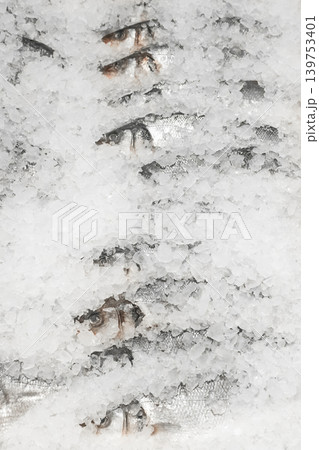 Raw frozen fish cold ice fresh seafood supermarket counter sea food Raw frozen fish cold ice fresh seafood supermarket counter sea food 139753401