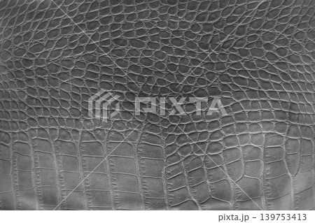 Grey Abstract Pattern Leather Natural Background Material Texture Backdrop Structure Cracked Surface Gray 139753413