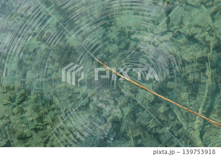 Reed Tip Creating Ripples in Clear Water Reed Tip Creating Ripples in Clear Water 139753918