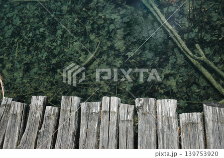 Submerged Leaves Under Boardwalk Submerged Leaves Under Boardwalk 139753920