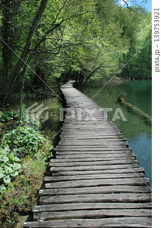 Wooden Boardwalk in Plitvice Lakes National Park 139753921