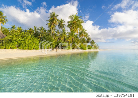 Breathtaking tropical beach paradise gorgeous palm trees turquoise ocean waves soft golden sunlight peaceful serene summer vacation landscape stunning dreamy nature tranquil exotic coastal island 139754181