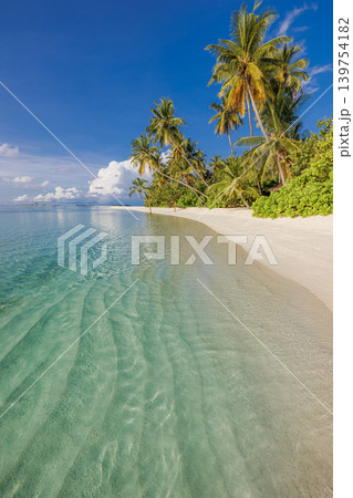 Magical tropical island beach soft sunlight gorgeous vertical landscape dreamy palm trees peaceful ocean waves relax tranquil summer vacation nature breathtaking ethereal luminous serene 139754182