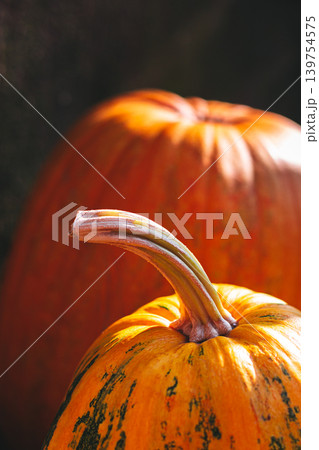 Orange pumpkins on a dark background. Minimal concept, close up. 139754575