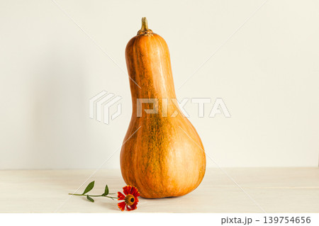 Ripe orange pumpkin on a pastel beige background with small flower. Minimalistic concept. 139754656