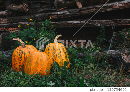 Three ripe pumpkins on a grass background in the country. Thanksgiving card concept. Three ripe pumpkins on a grass background in the country. Thanksgiving card concept. 139754692