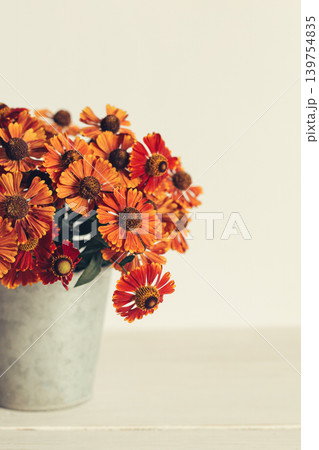 Autumn bouquet of bright flowers (Helenium autumnale) in a vintage pot. Concept for autumn background or postcard. Autumn bouquet of bright flowers (Helenium autumnale) in a vintage pot. Concept for autumn background or postcard. 139754835
