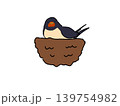 巣で一休みするツバメ 139754982