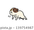 頑張って腕立て伏せをするモルモット 139754987