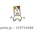 頑張ってスクワットをするモルモット 139754988
