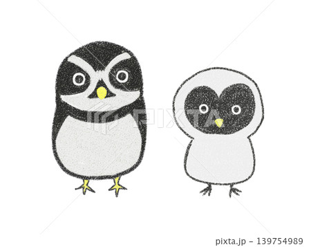 メガネフクロウの親子 メガネフクロウの親子 139754989