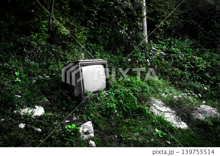Forest Television Retro Outdoor Green 139755514