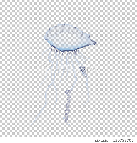 A translucent jellyfish illustration in an alcohol ink style, with a fantastical ocean motif on a white background. 139755700