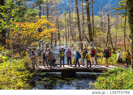 秋の上高地「梓川右岸道・岳沢湿原」《長野県 松本市》 秋の上高地「梓川右岸道・岳沢湿原」《長野県 松本市》 139755799
