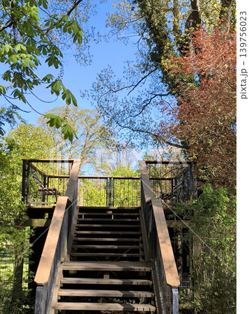 A sturdy staircase leads to a viewing platform among green trees on a sunny day. A sturdy staircase leads to a viewing platform among green trees on a sunny day. 139756023