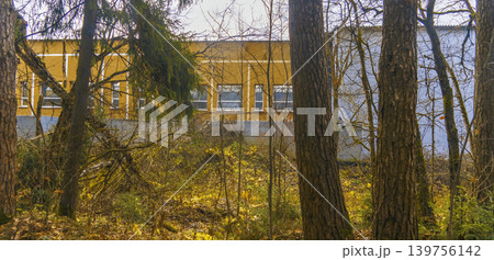 Silent countryside with fall colors. Serene rural landscape featuring muted autumn hues and mossy ground 139756142