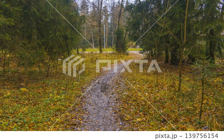 Quiet forest path. Gentle winding pathway leading through shadowed woods lined with tall pine trees Quiet forest path. Gentle winding pathway leading through shadowed woods lined with tall pine trees 139756154
