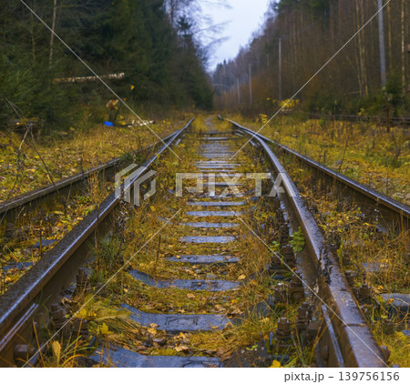 Abandoned railway scene. Old tracks amid overgrown nature. Decayed rails run through lush forest surroundings Abandoned railway scene. Old tracks amid overgrown nature. Decayed rails run through lush forest surroundings 139756156