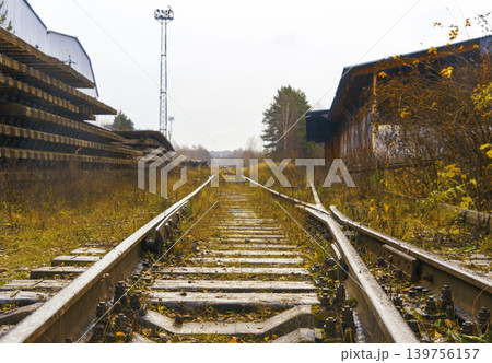 Abandoned railway line sprawling into distance surrounded by neglect and natural overgrowth Abandoned railway line sprawling into distance surrounded by neglect and natural overgrowth 139756157