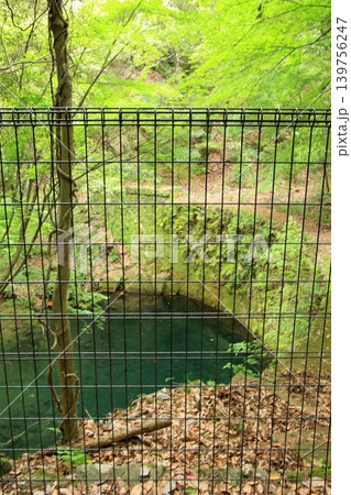 神戸布引ダム 布引の滝 野営地市ケ原堰堤キャンプ 神戸布引ダム 布引の滝 野営地市ケ原堰堤キャンプ 139756247