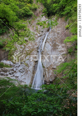 神戸布引ダム　布引の滝　野営地市ケ原堰堤キャンプ 139756293