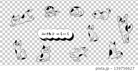 みけねこいろいろ|モノトーン みけねこいろいろ|モノトーン 139756627