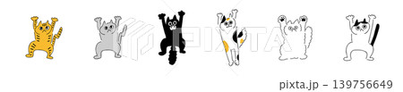 びっくりねこ|カラー びっくりねこ|カラー 139756649