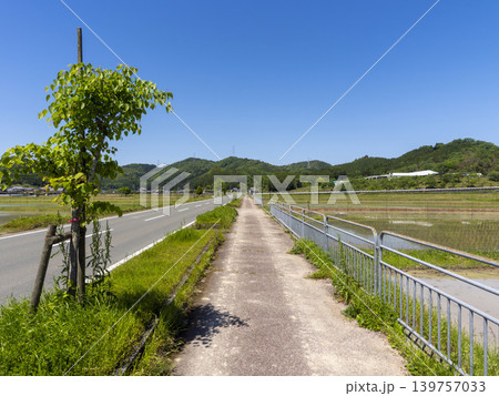 田園地帯を通る道路の風景 139757033