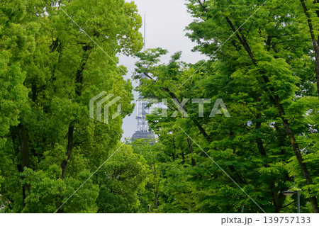 新緑の名古屋市久屋大通り公園 新緑の名古屋市久屋大通り公園 139757133